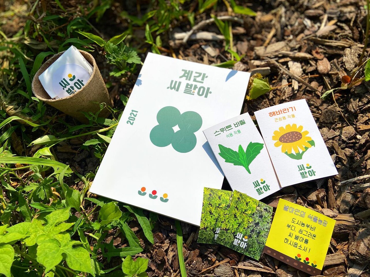 계간 씨발아, 최지윤 편집장이 말하는 도시에서 느끼는 농업의 기쁨 < 인터뷰 < 로컬크리에이터 < 인터뷰 < 기사본문 - 비로컬ㅣ로컬  비즈니스 생태계를 만듭니다